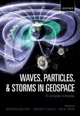 Waves, Particles, and Storms in Geospace (eBook, PDF)