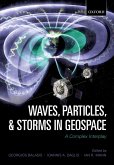Waves, Particles, and Storms in Geospace (eBook, PDF)