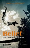 Belief (eBook, PDF)