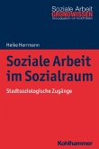 Soziale Arbeit im Sozialraum (eBook, PDF)