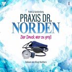 Praxis Dr. Norden 1 - Arztroman (MP3-Download)