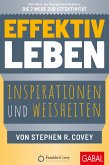 Effektiv leben (eBook, PDF)