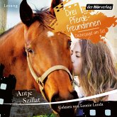 Drei Pferdefreundinnen - Diebesjagd am Set (MP3-Download)