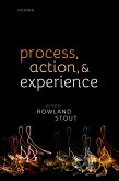Process, Action, and Experience (eBook, PDF)