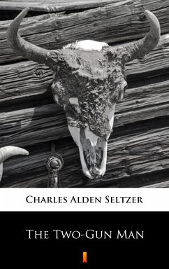 The Two-Gun Man (eBook, ePUB) - Seltzer, Charles Alden