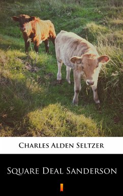 Square Deal Sanderson (eBook, ePUB) - Seltzer, Charles Alden