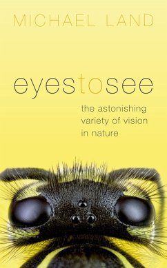 Eyes to See (eBook, PDF) - Land, Michael