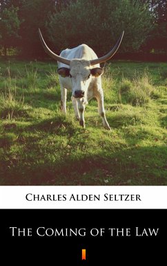 The Coming of the Law (eBook, ePUB) - Seltzer, Charles Alden