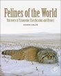 Felines of the World - Bild 1