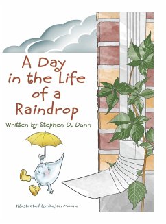 A Day In The Life Of A Raindrop - Dunn, Stephen Daingerfield