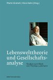 Lebenswelttheorie und Gesellschaftsanalyse (eBook, PDF)