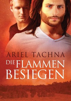 Cover Die Flammen besiegen (eBook, ePUB)