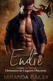 Endre : Hermanos de Lugares Obscuros (eBook, ePUB)