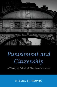 Punishment and Citizenship (eBook, PDF) - Tripkovic, Milena
