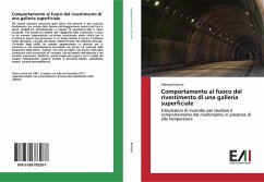 Comportamento al fuoco del rivestimento di una galleria superficiale