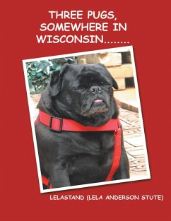 Cover Three Pugs, Somewhere in Wisconsin (eBook, ePUB)