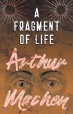 A Fragment of Life (eBook, ePUB)