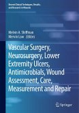 Vascular Surgery, Neurosurgery, Lower Extremity Ulcers, Antimicrobials, Wound Assessment, Care, Measurement and Repair