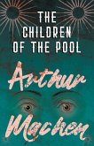 The Children of the Pool (eBook, ePUB)