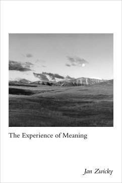 The Experience of Meaning - Zwicky, Jan