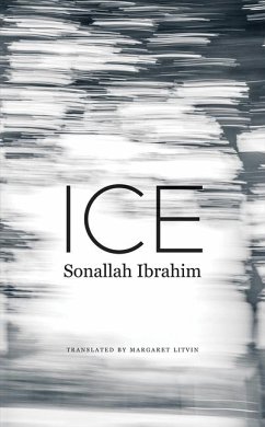 Ice - Ibrahim, Sonallah