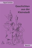 Geschichten aus der Kleinstadt, Band 6 (eBook, ePUB)