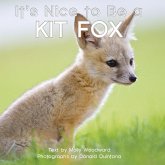 It's Nice to Be a Kit Fox