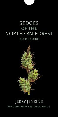 Sedges of the Northern Forest - Jenkins, Jerry