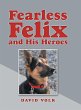 Fearless Felix and His Heroes - Bild 1