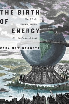 The Birth of Energy: Fossil Fuels, Thermodynamics, and the Politics of Work - Daggett, Cara New