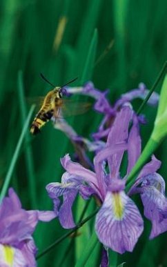 Petite Wild Blue Iris Journal - Wunderlich, Jordan