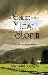 Peace in the Midst of the Storm - Bild 1