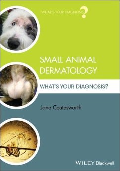 Small Animal Dermatology - Coatesworth, Jane