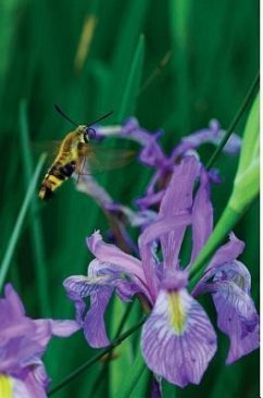 Petite Wild Blue Iris Journal - Wunderlich, Jordan