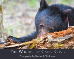 The Wonder of Cades Cove - Walleman, Sandra J.