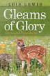 Gleams of Glory - Bild 1