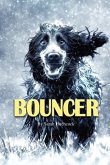 Bouncer Bouncer