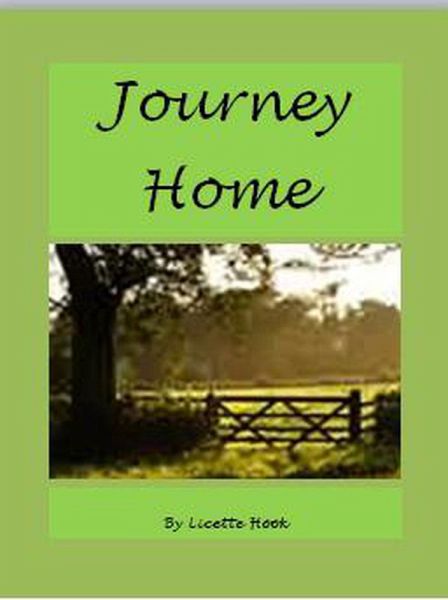 Journey Home (eBook, ePUB)
