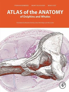 Atlas of the Anatomy of Dolphins and Whales (eBook, ePUB) - Huggenberger, Stefan; Oelschläger, Helmut A; Cozzi, Bruno