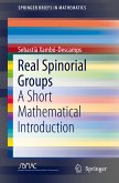 Real Spinorial Groups (eBook, PDF)