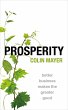 Prosperity (eBook, PDF) - Bild 1