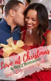 Love at Christmas ~ A Sexy Romance (eBook, ePUB)