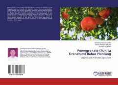 Pomegranate (Punica Granatum) Bahar Planning