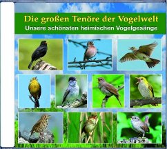 Die großen Tenöre der Vogelwelt - Dingler, Karl-Heinz