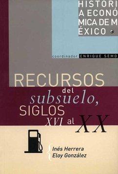 Cover Recursos del subsuelo, siglos XVI al XX (eBook, ePUB)
