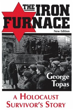 Cover The Iron Furnace