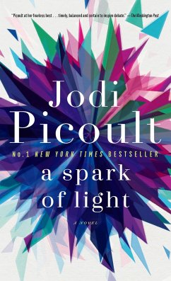 A Spark of Light - Picoult, Jodi