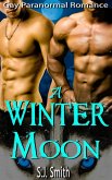 A Winter Moon - Gay Paranormal Romance (eBook, ePUB) A Winter Moon - Gay Paranormal Romance (eBook, ePUB)