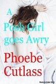 A Posh Girl goes Awry (eBook, ePUB)