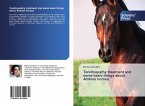 Tendinopathy treatment and some basic things about Arabian horses